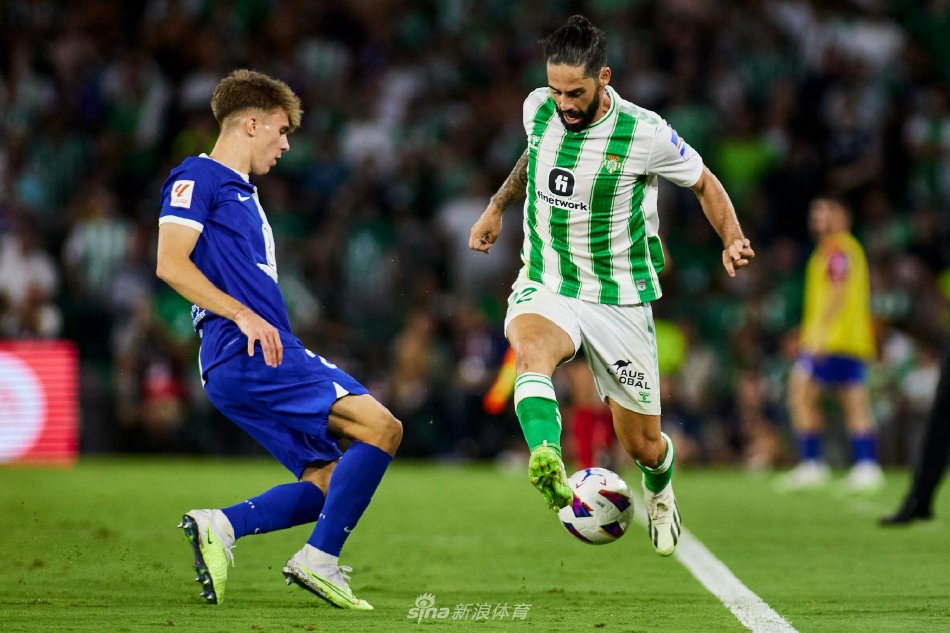 篮球风云 篮球风云