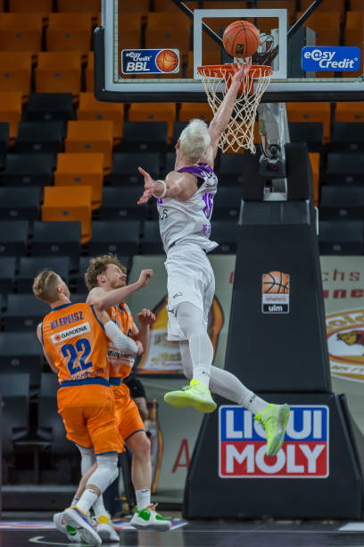 深圳新鹏城 深圳新鹏城